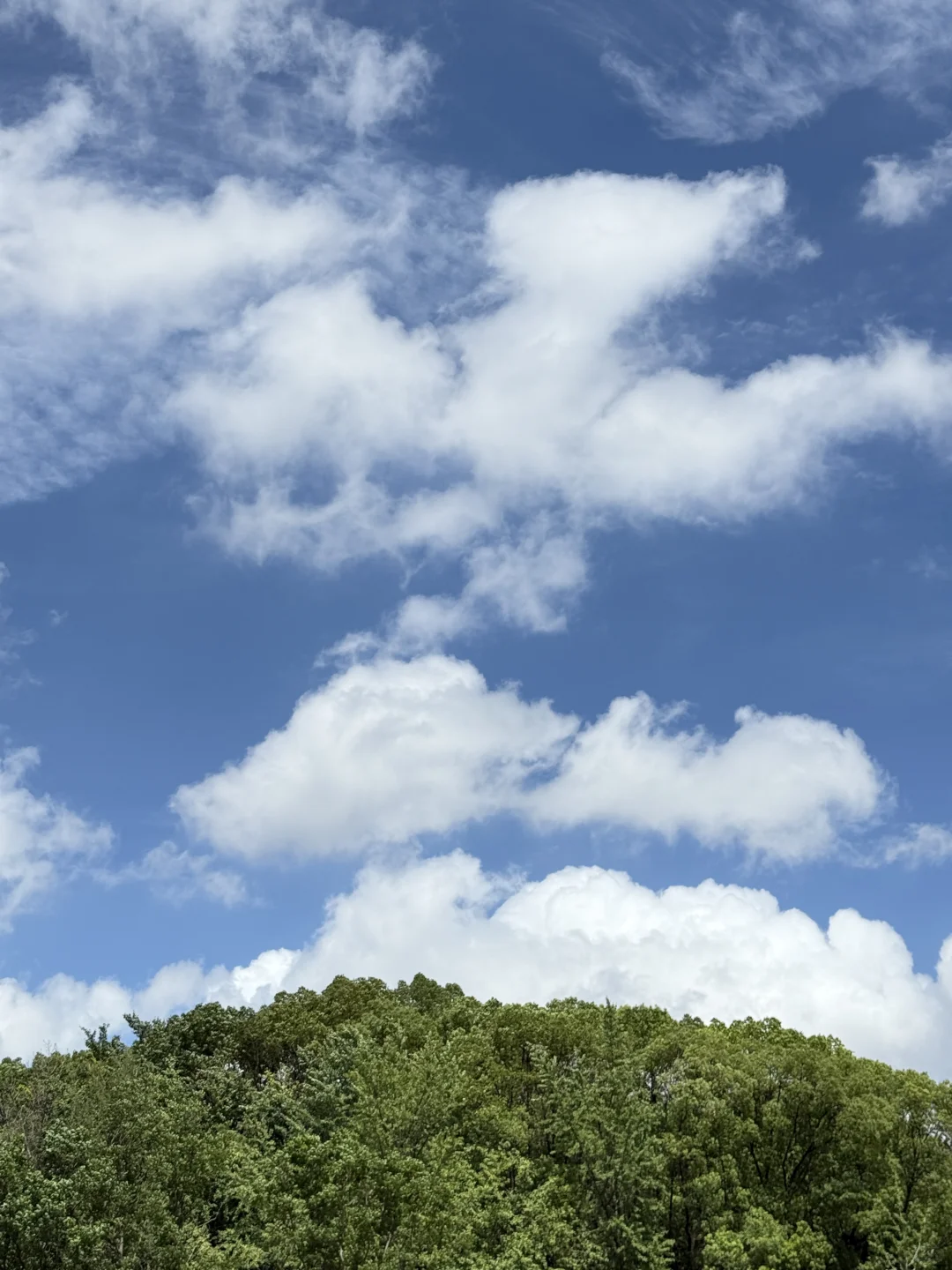 7.19 Live｜玻璃幕墙是天空的浪漫魔镜