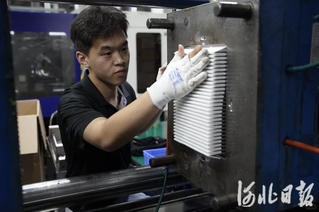 新闻纵深·县域特色产业新力量