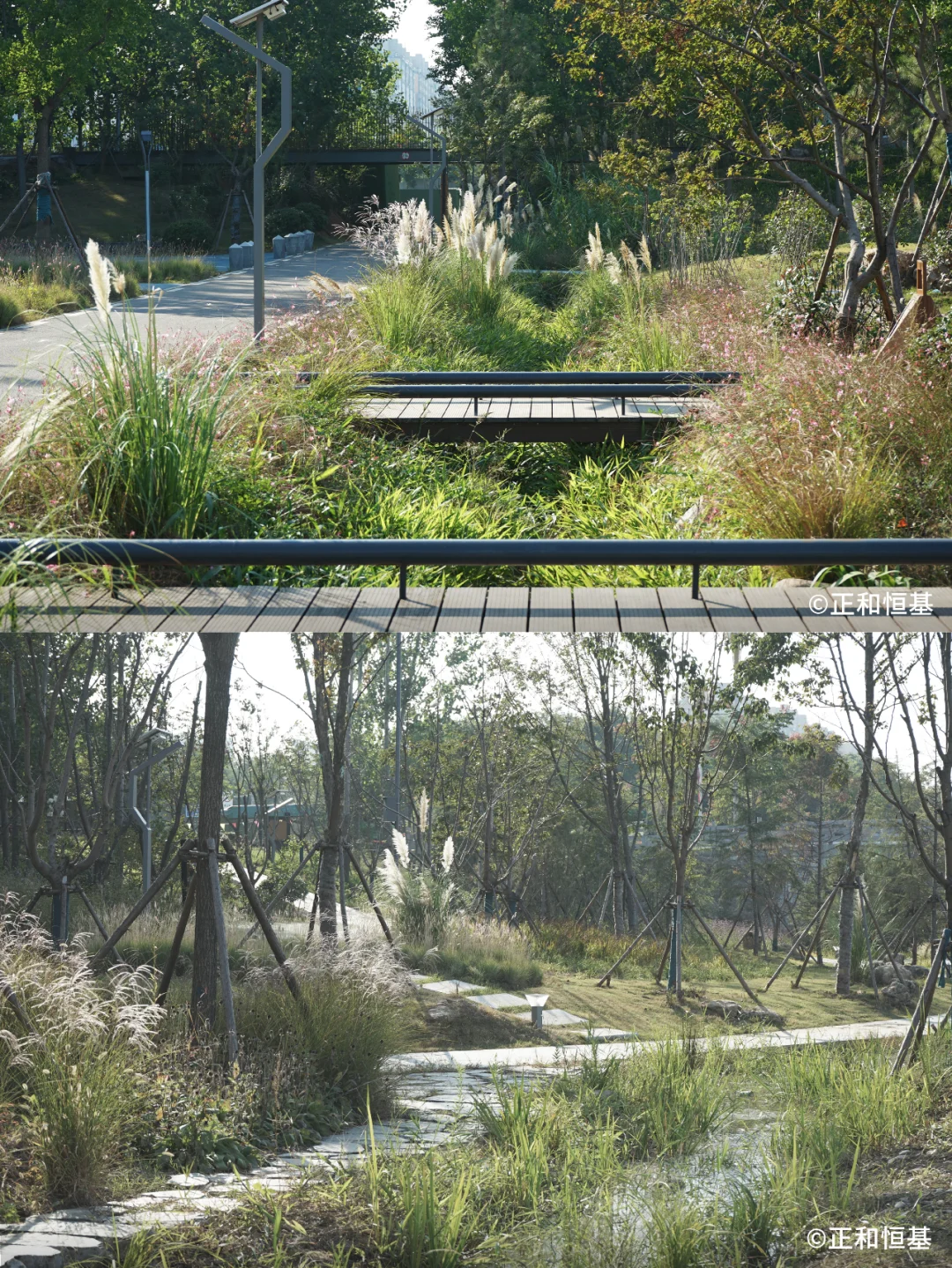 2023 IFLA 获奖项目：低干扰生态韧性修复