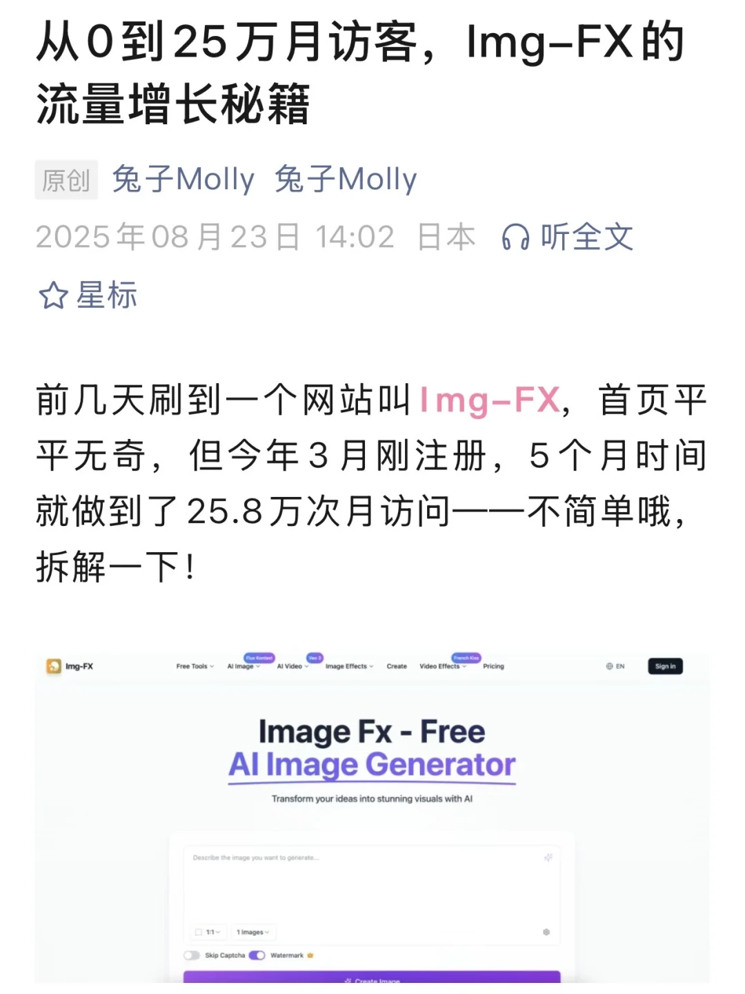 从0到25万月访客，Img-FX的流量增长秘籍