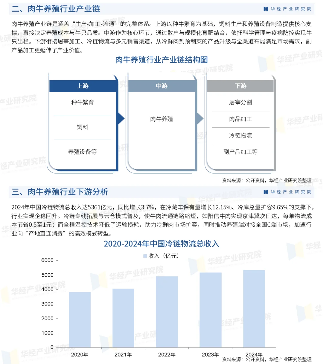 2025年中国肉牛养殖行业市场深度分析报告