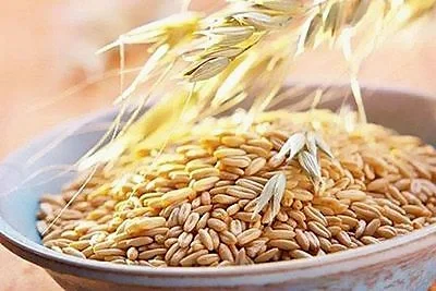 入秋后,多吃这3款杂粮,解馋下饭