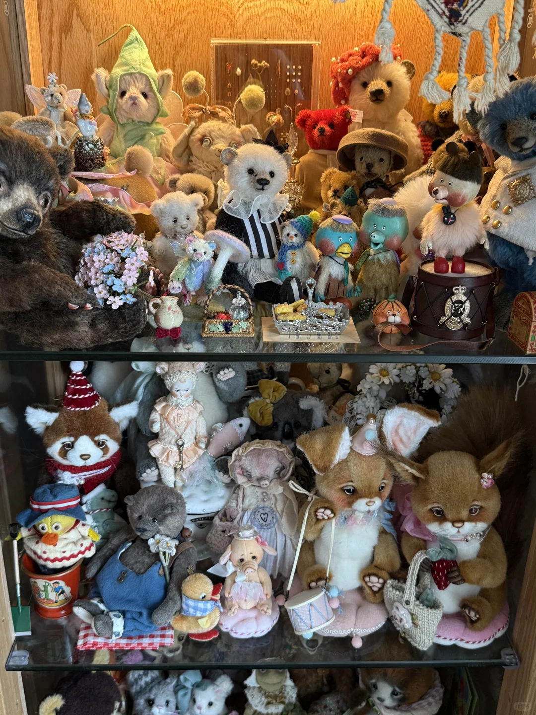 ?珍奇屋｜我家奇奇怪怪的玩物收藏?