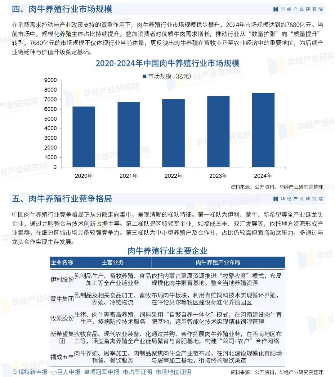 2025年中国肉牛养殖行业市场深度分析报告