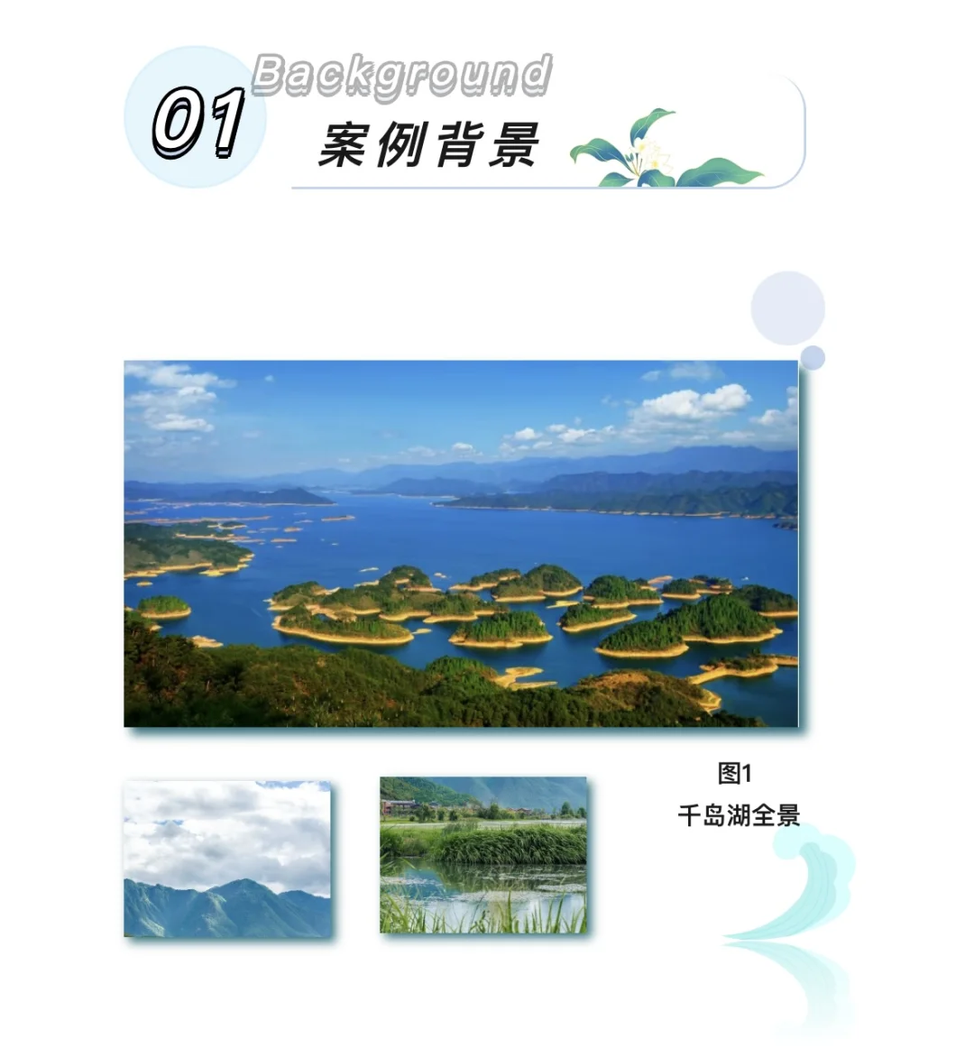 千岛湖流域水环境系统生态修复项目