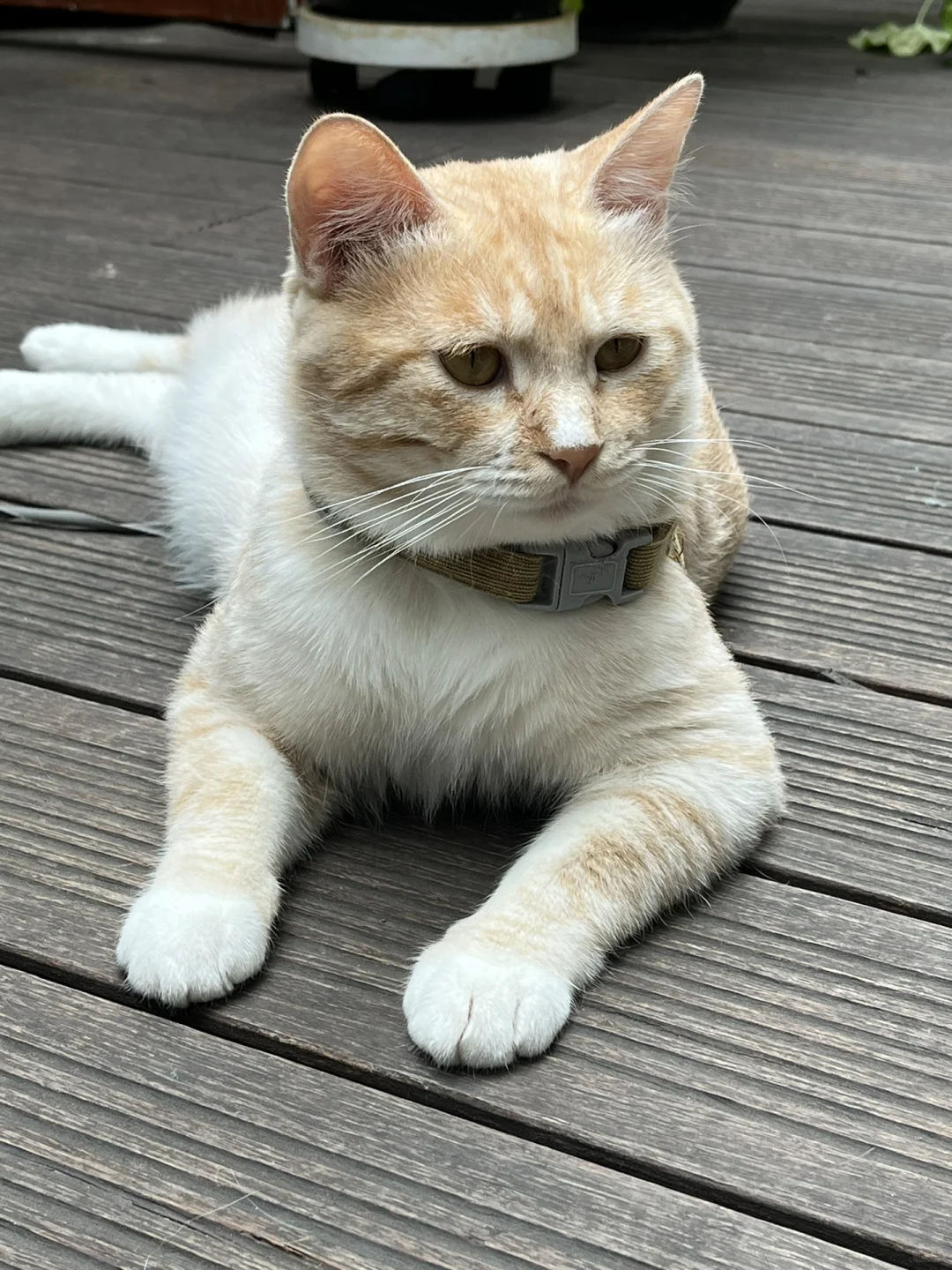 开学体检 到底都有哪些项目呢？