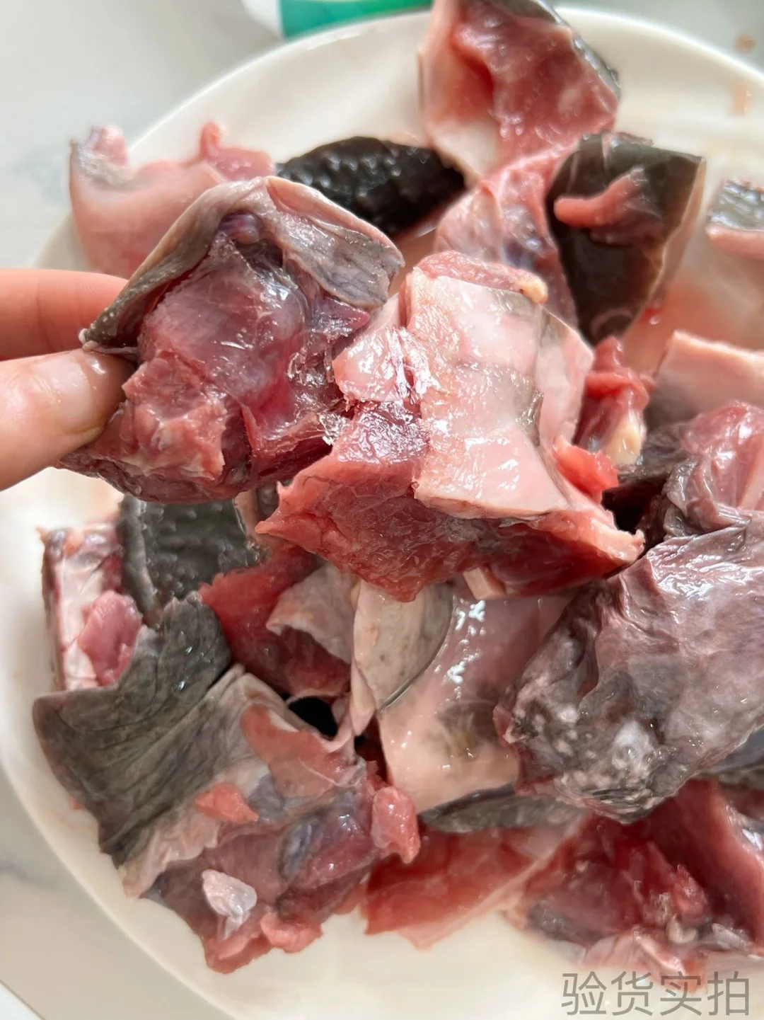 【?南丰甲鱼源头直供！工厂实拍敢透明！