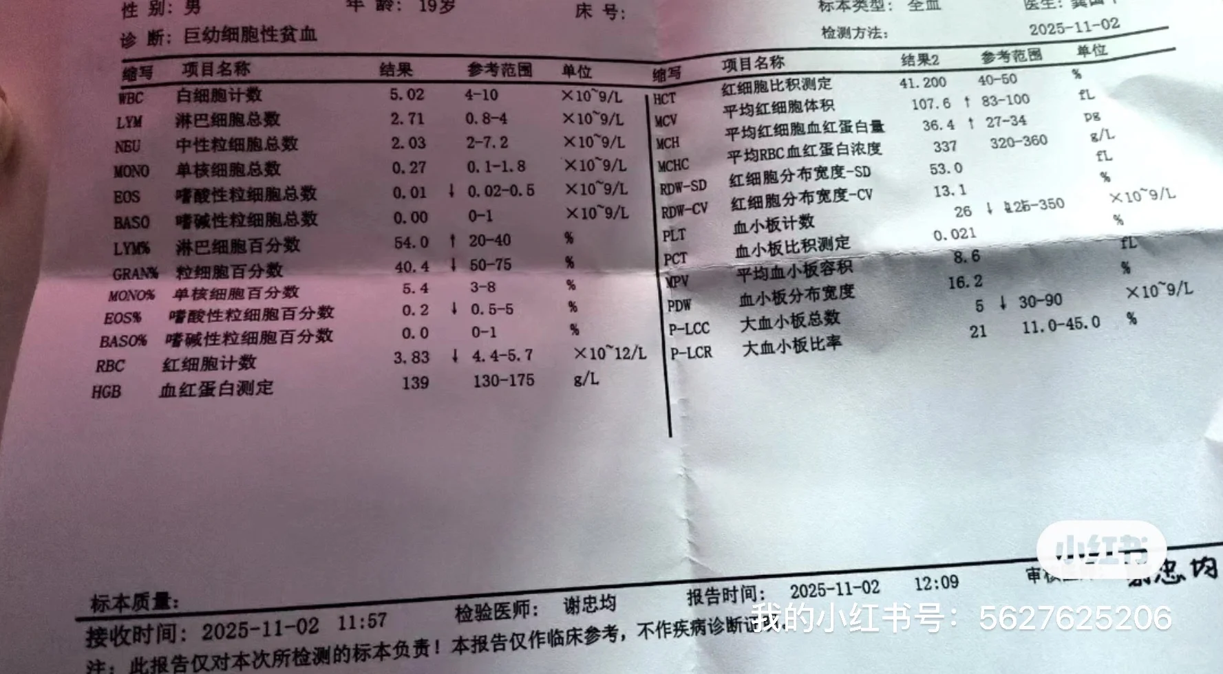 血液报告血常规骨穿求解