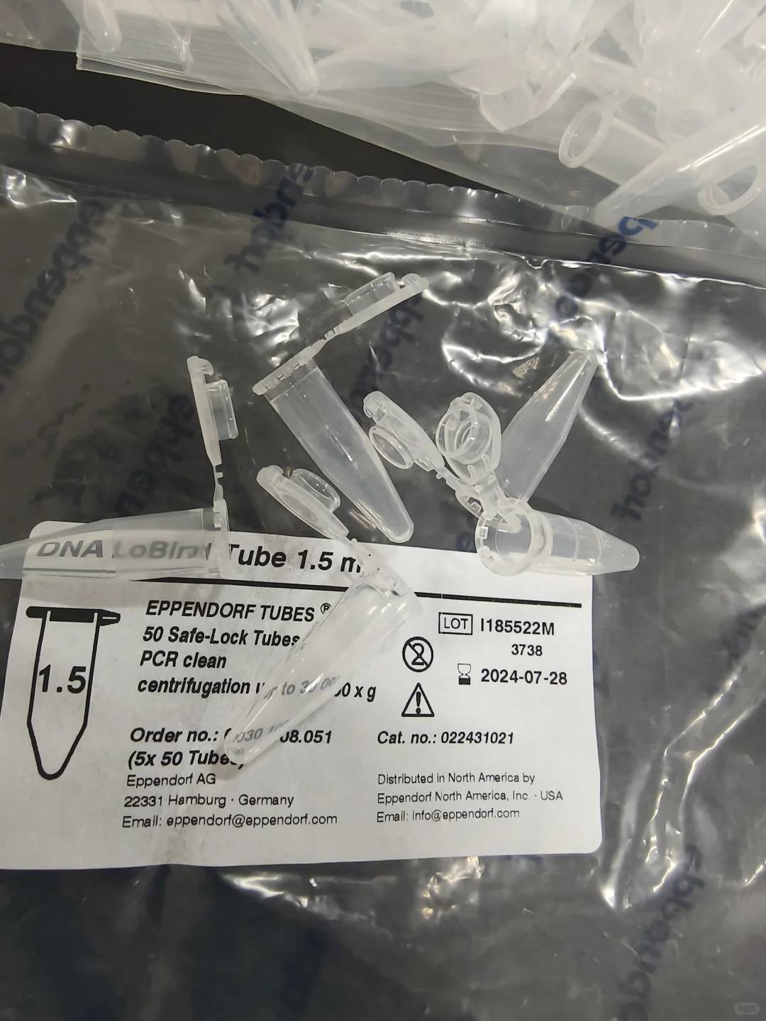 分子试验的一天