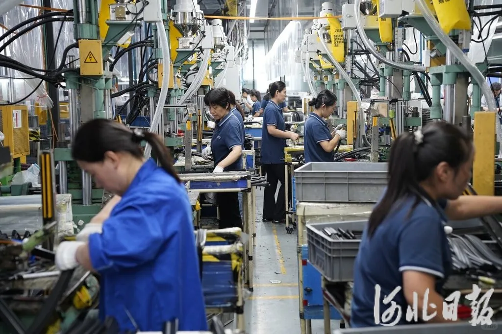 新闻纵深·县域特色产业新力量