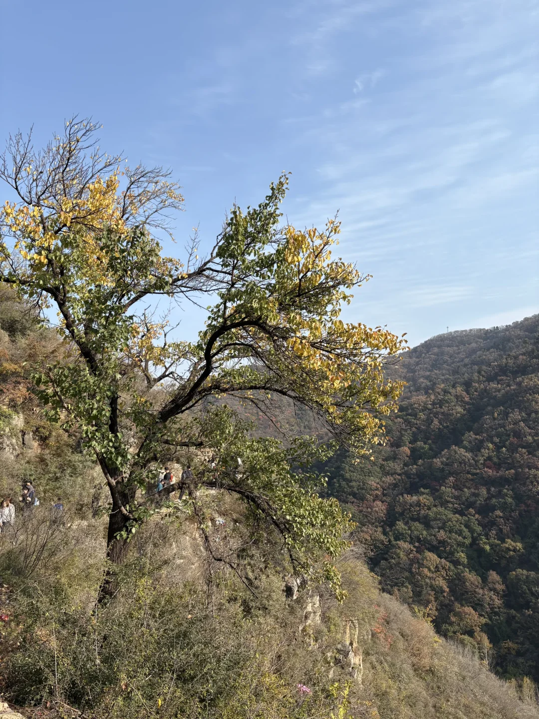 巩义达西沟赏红叶保姆级攻略?