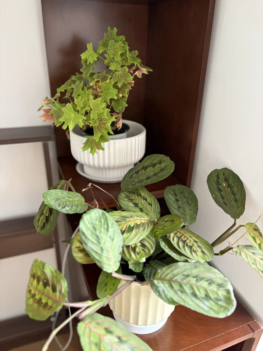 莫明涌上心头的焦虑感