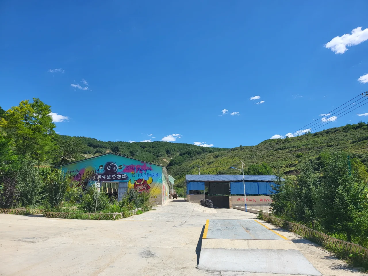 不是所有的牛肉都叫源牛泾源黄牛肉