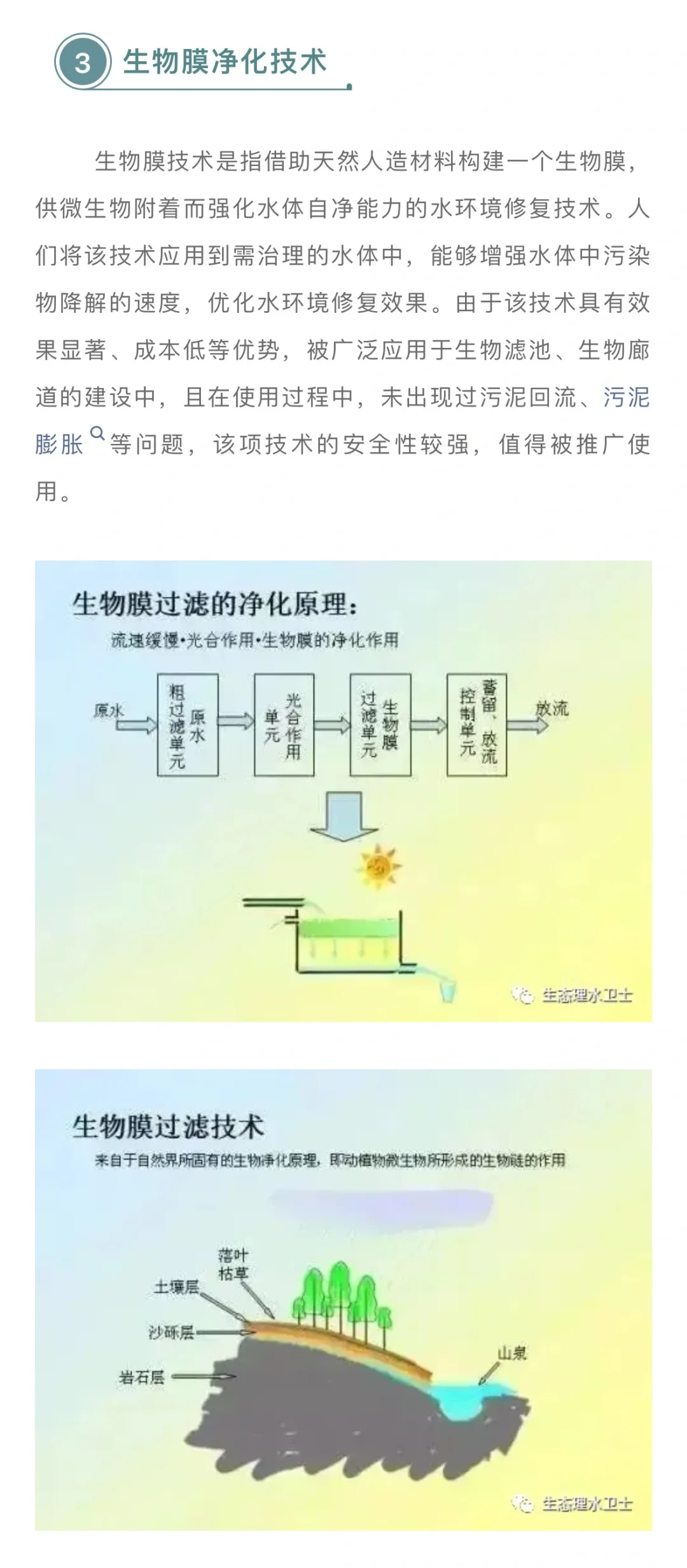 干货，水环境生态修复技术（一）