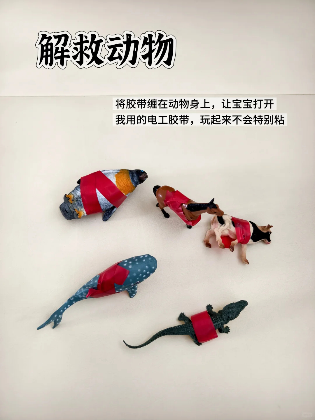 蒙氏早教|21月龄第二周工作|玩具