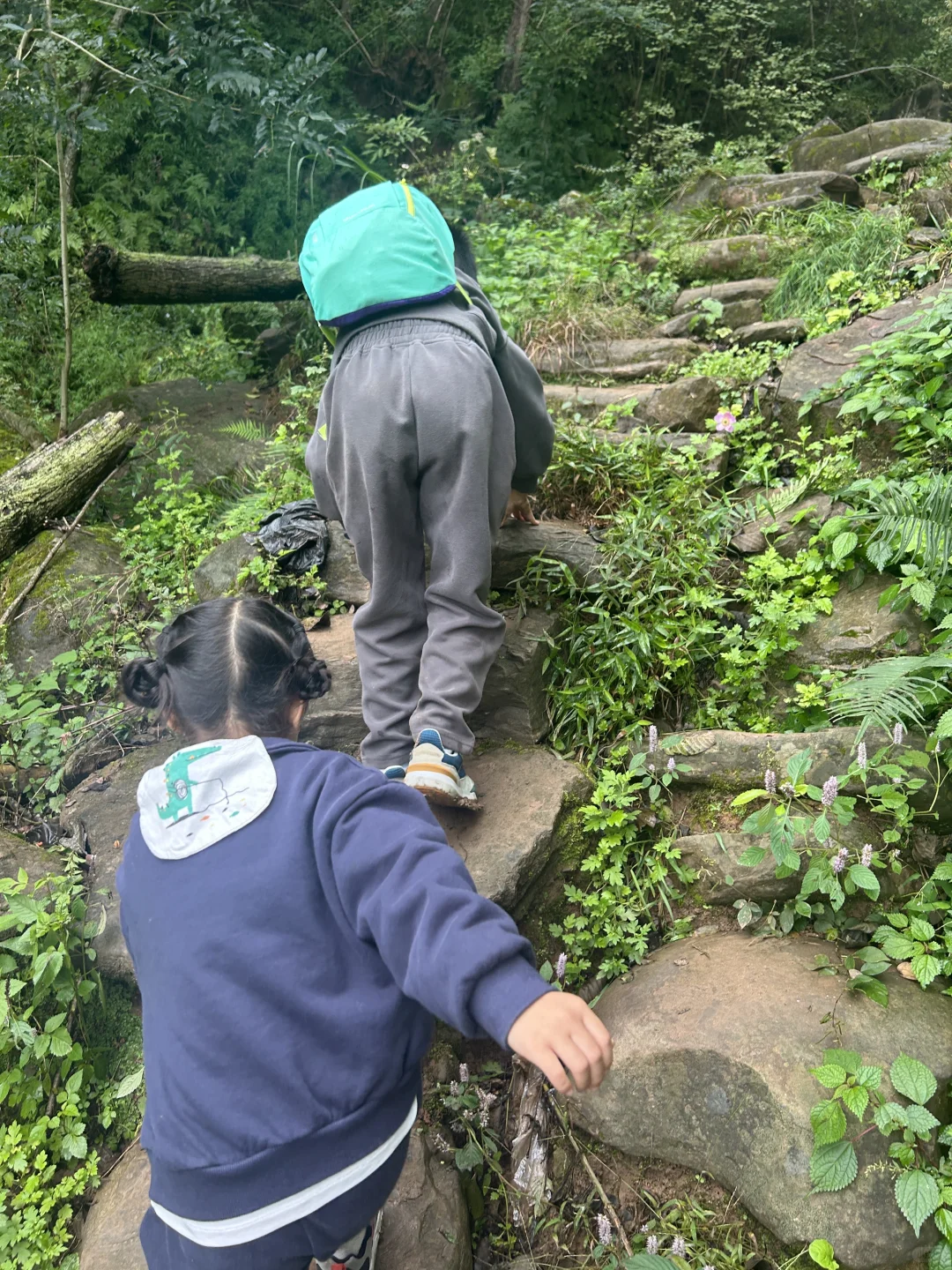 去见⛰️2025年10月26日 金堂梨花沟