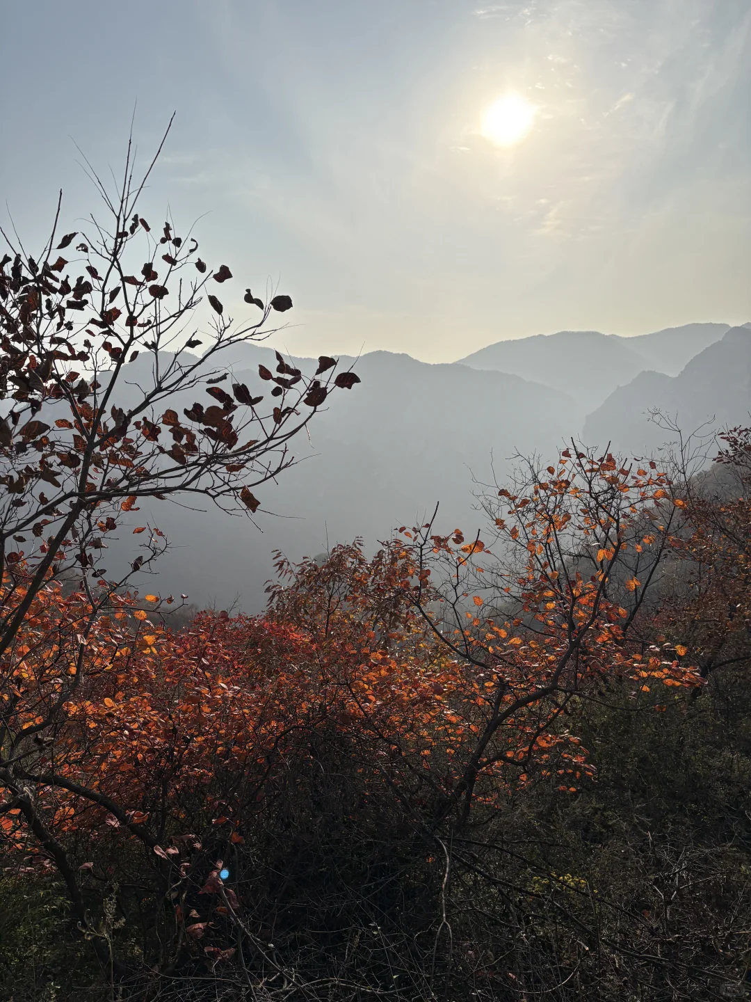 巩义达西沟赏红叶保姆级攻略?