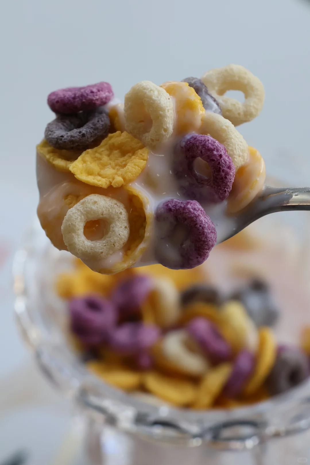 每日早餐都爱的谷物圈