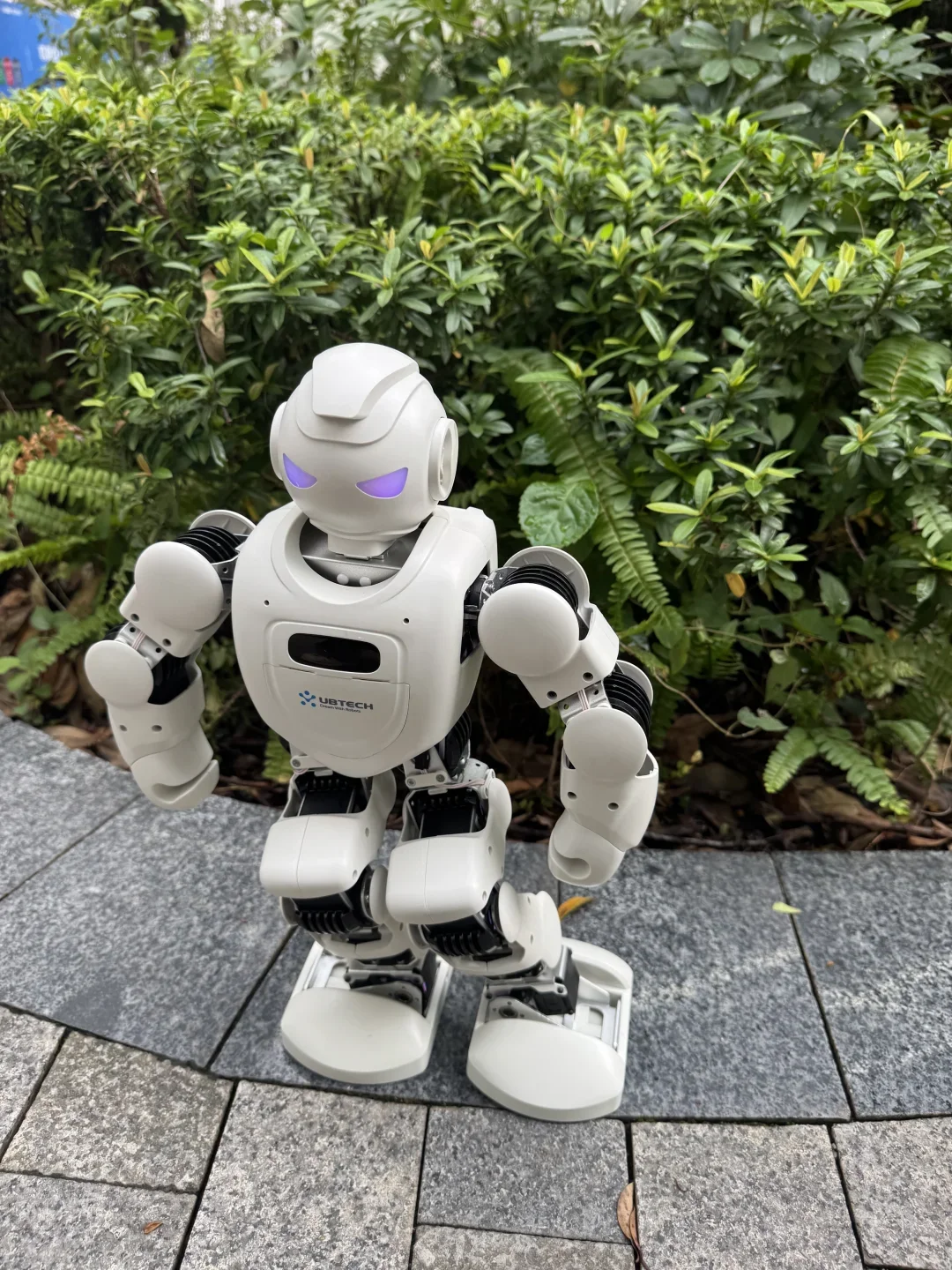 “陪娃神器”——一个会自己干活的玩伴真香