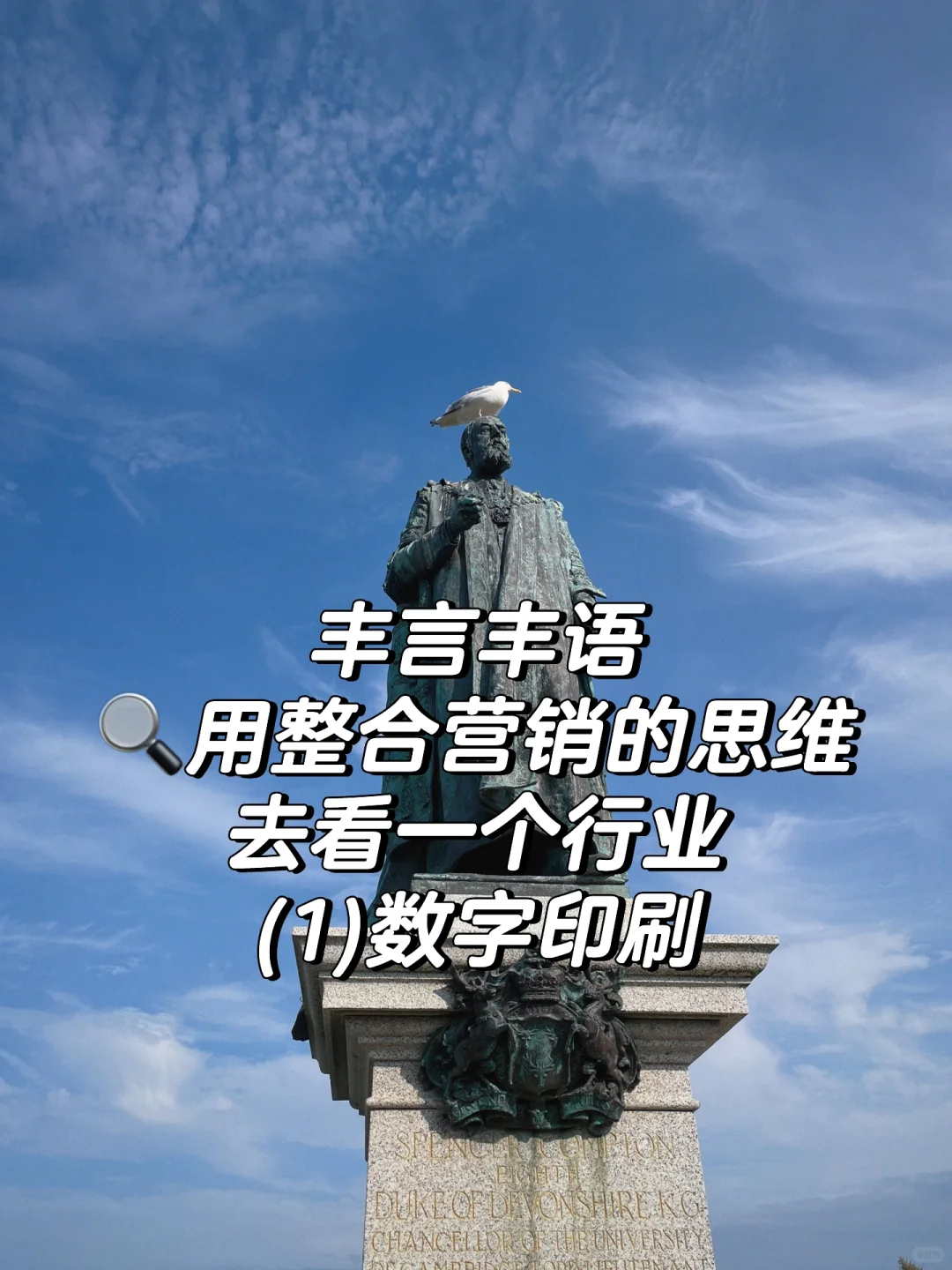 丰言丰语| 整合营销的思维看一个行业(1)