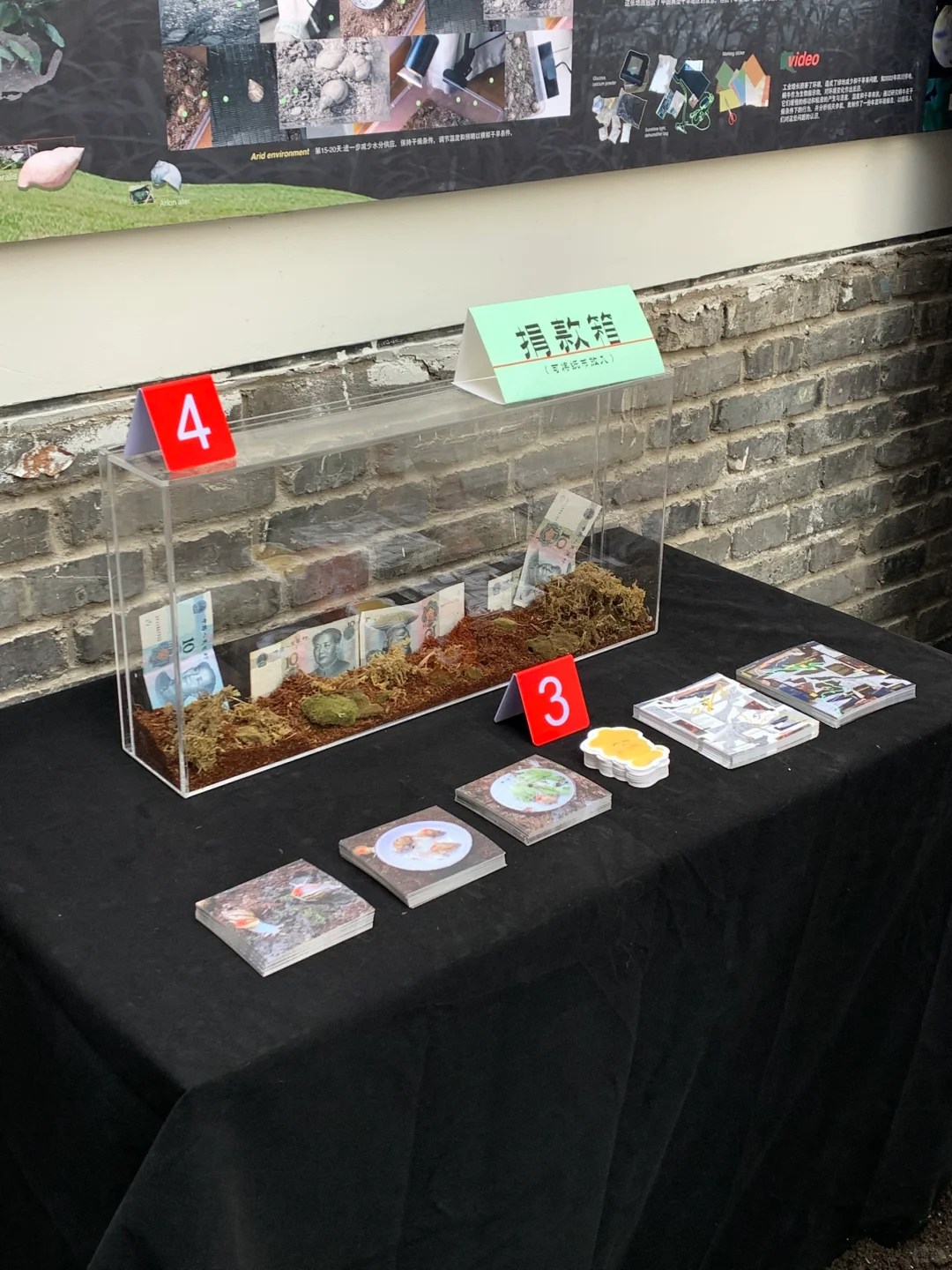 Snailgraphy毕设时间!~