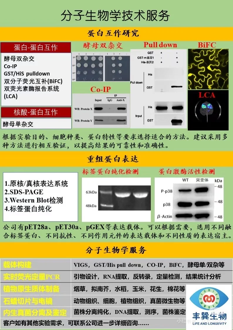 双11大促!真菌基因敲除敲三赠一预付享豪礼