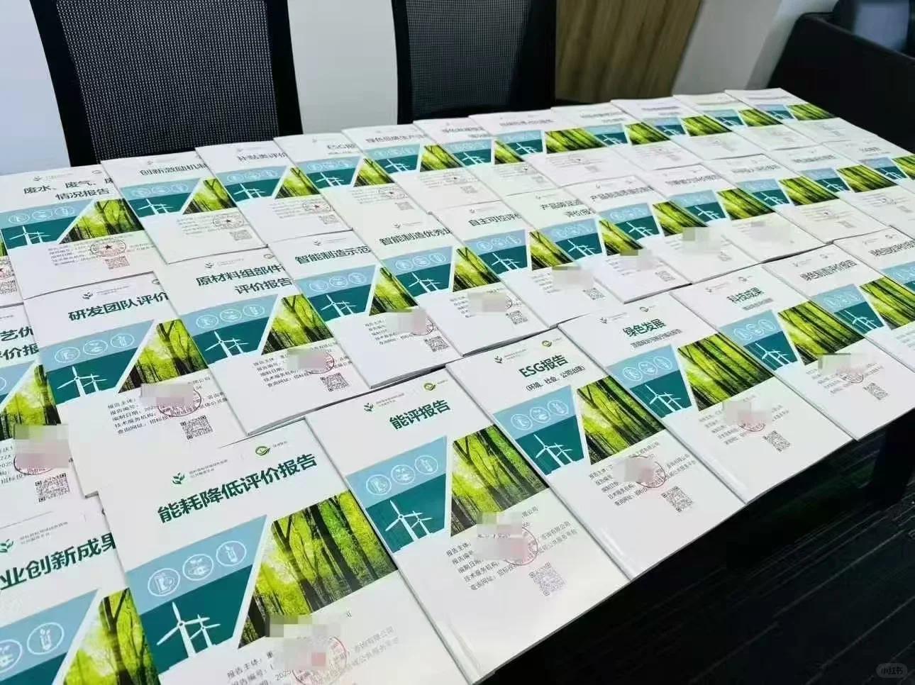 国网招投标—绿色报告目录