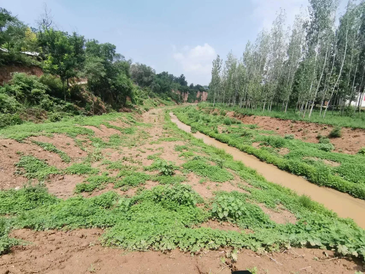 PS 一组河道生态效果图 快速出图丨接单