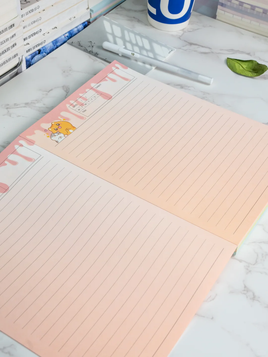 ? B5 拍纸本 100克双面彩印 ?