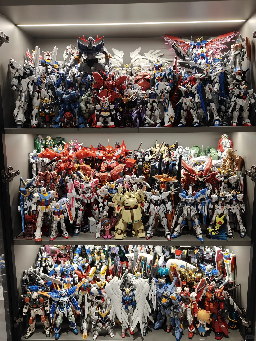 今日玩具柜分享