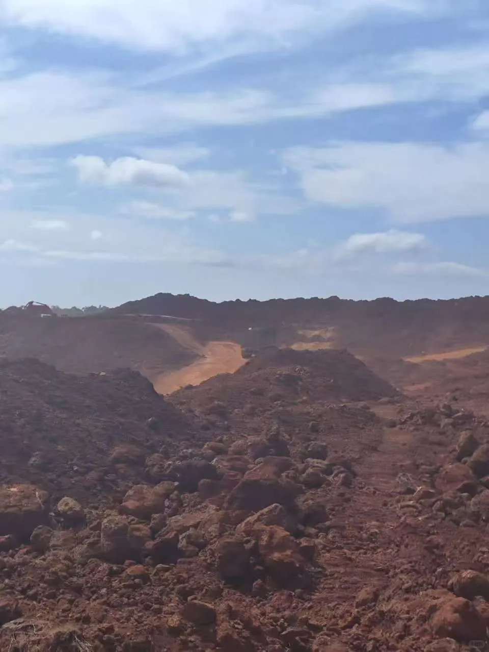 供应几内亚和马来西亚铝土矿