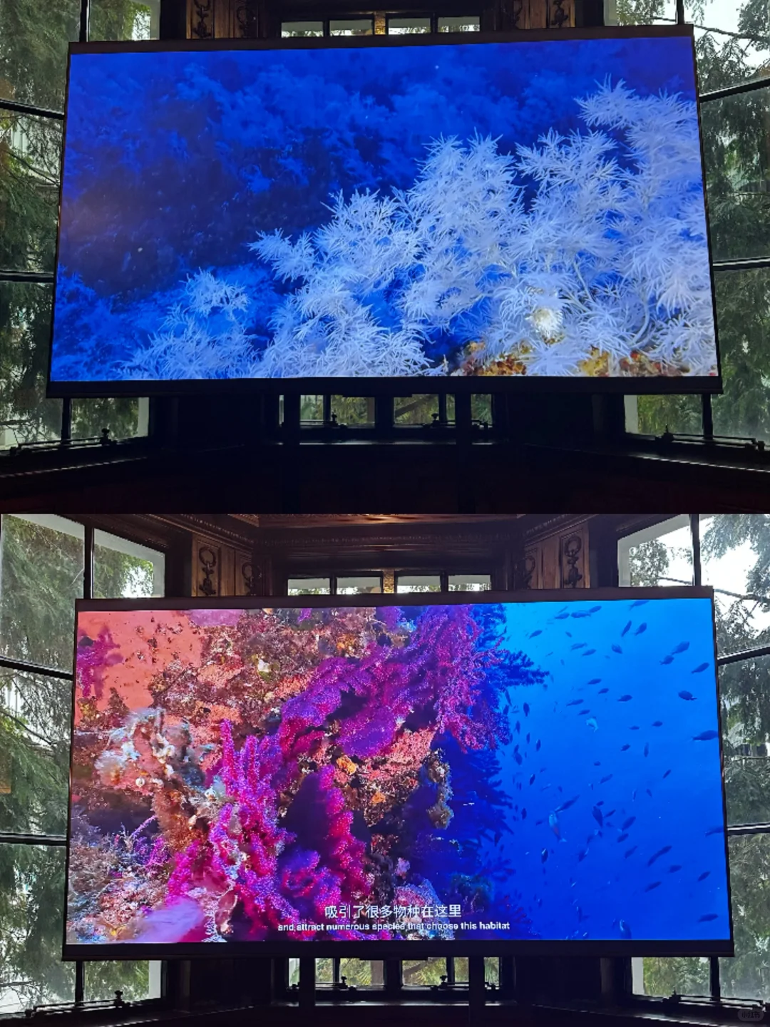 限时免费|Prada荣宅竟隐藏艾美奖提名摄影展