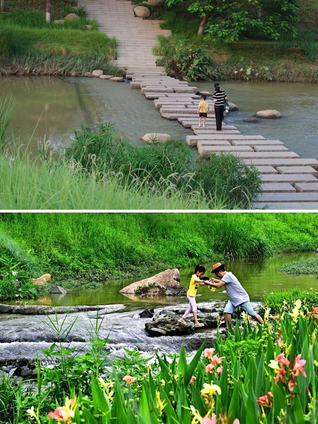 从劣五类水到幸福之河！广州黄埔南岗河更新