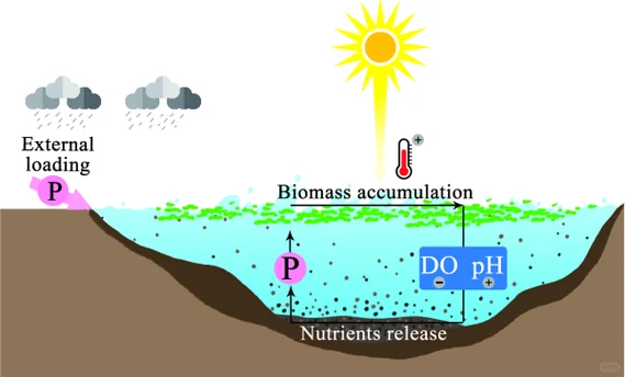 深水湖库富营养化成因与特征