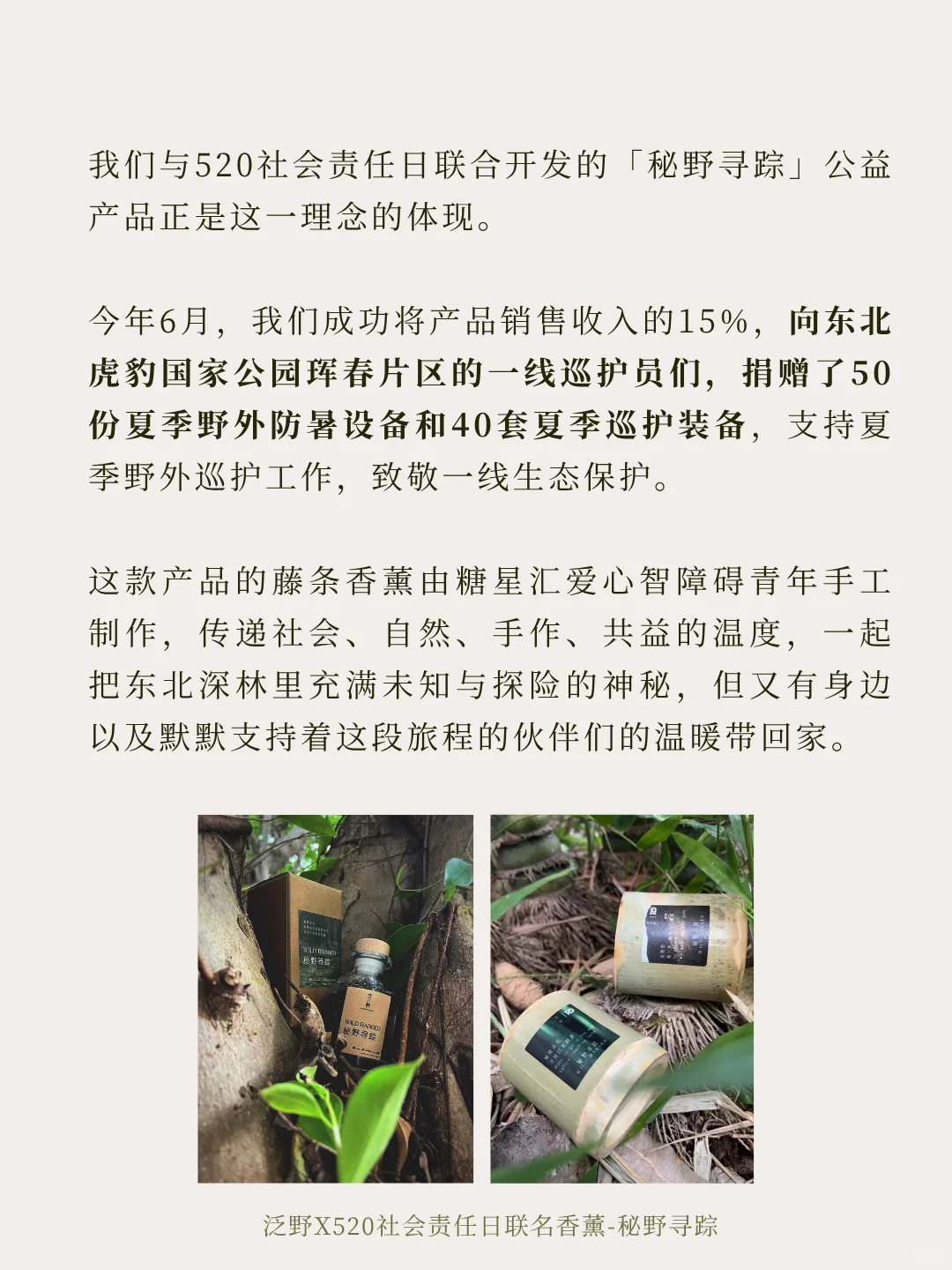 ?泛野2周年 | 当你决定出发,终将抵达丰盛