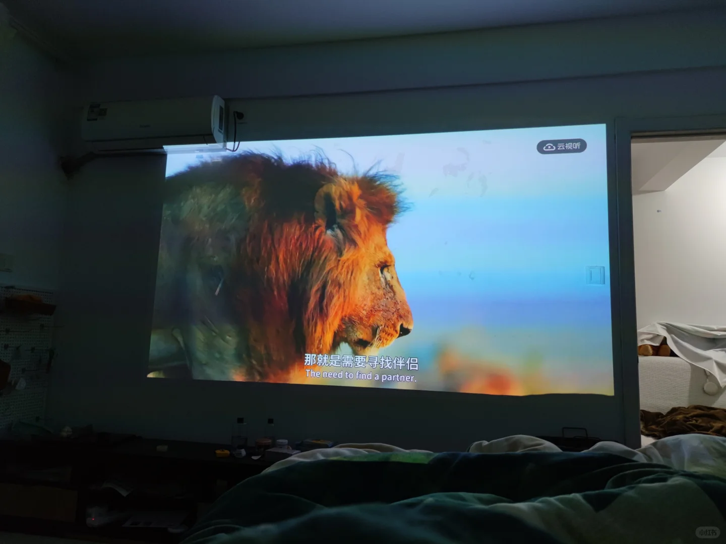 搬了5次家都没扔掉（2）