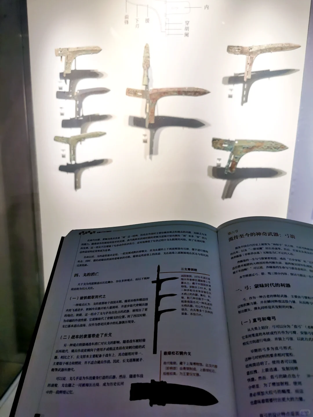 看遍中国博物馆:南京博物院