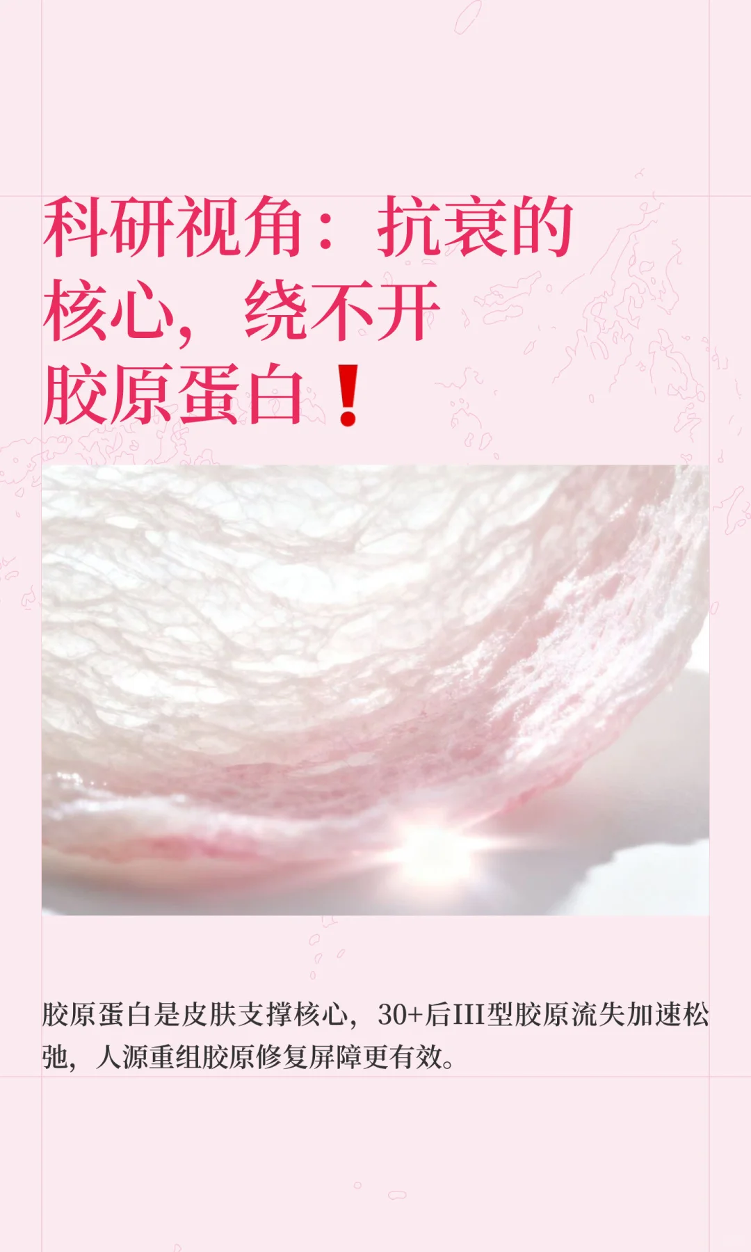 科研视角：抗衰的核心，绕不开胶原蛋白❗️