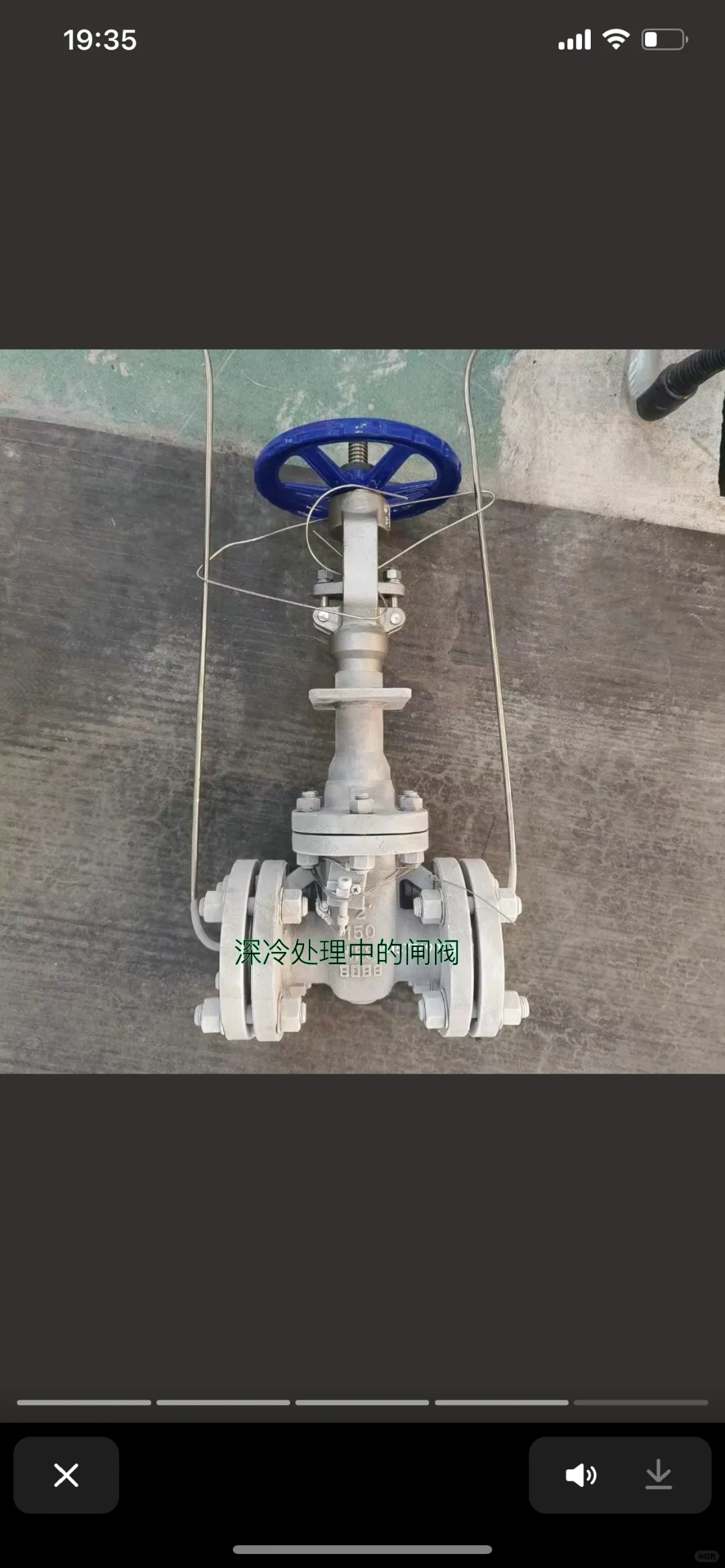 低温闸阀带隔冷盘