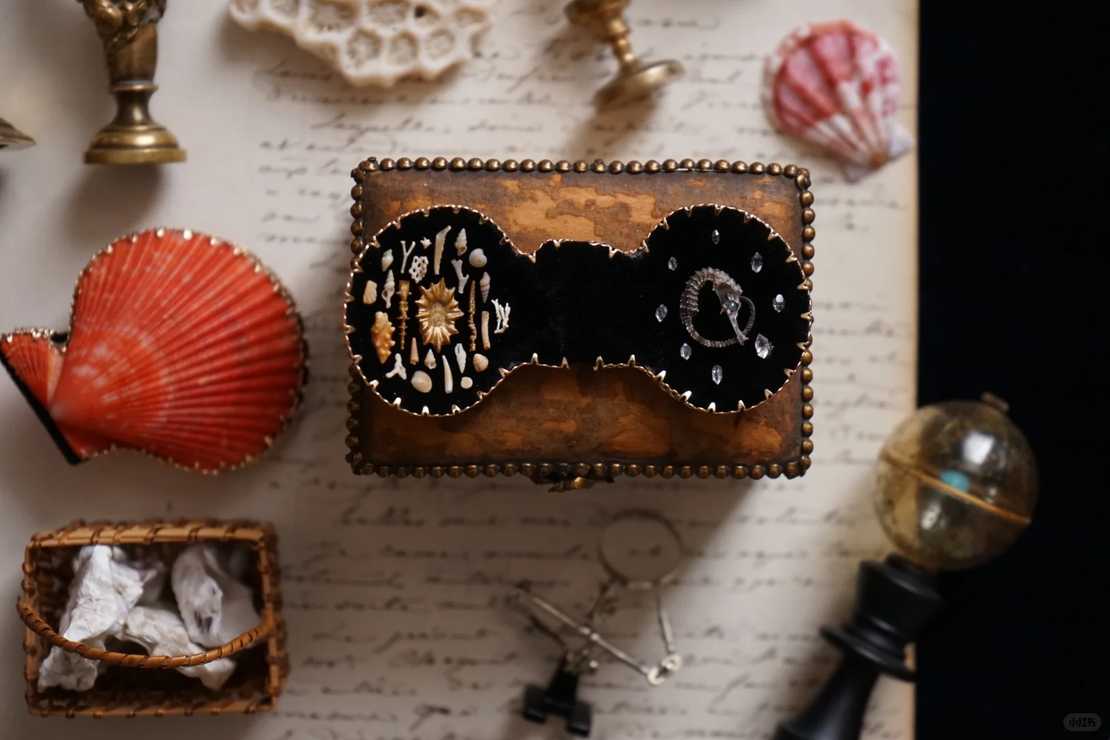 收藏｜微缩??封存的秘密?