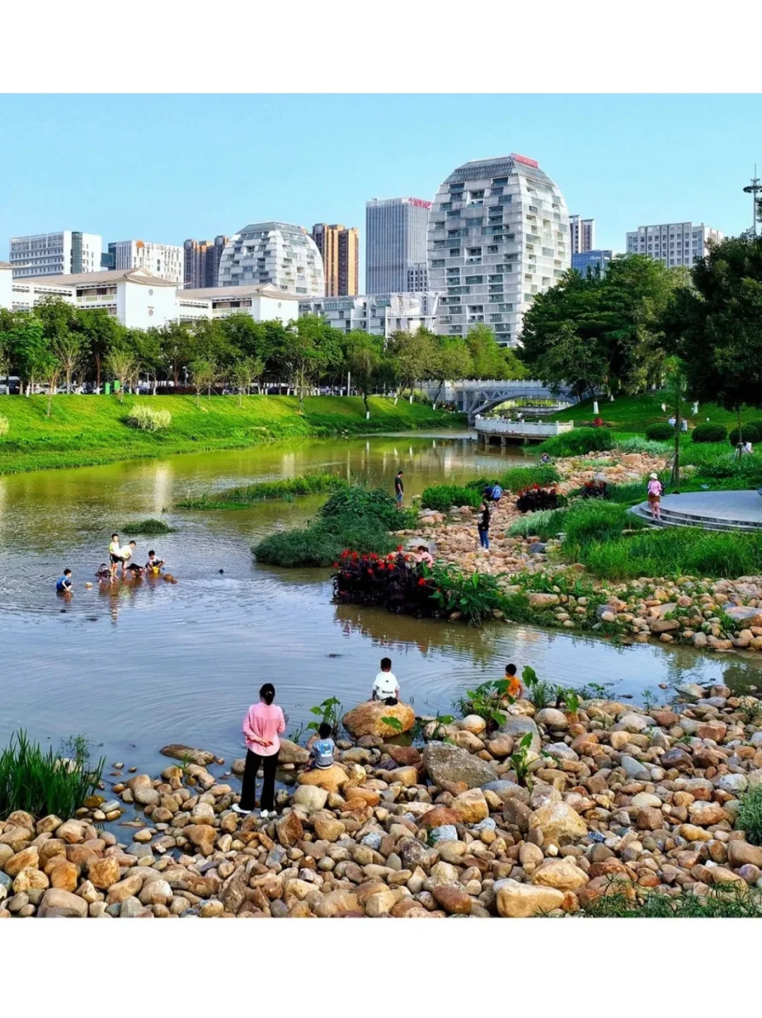 从劣五类水到幸福之河！广州黄埔南岗河更新