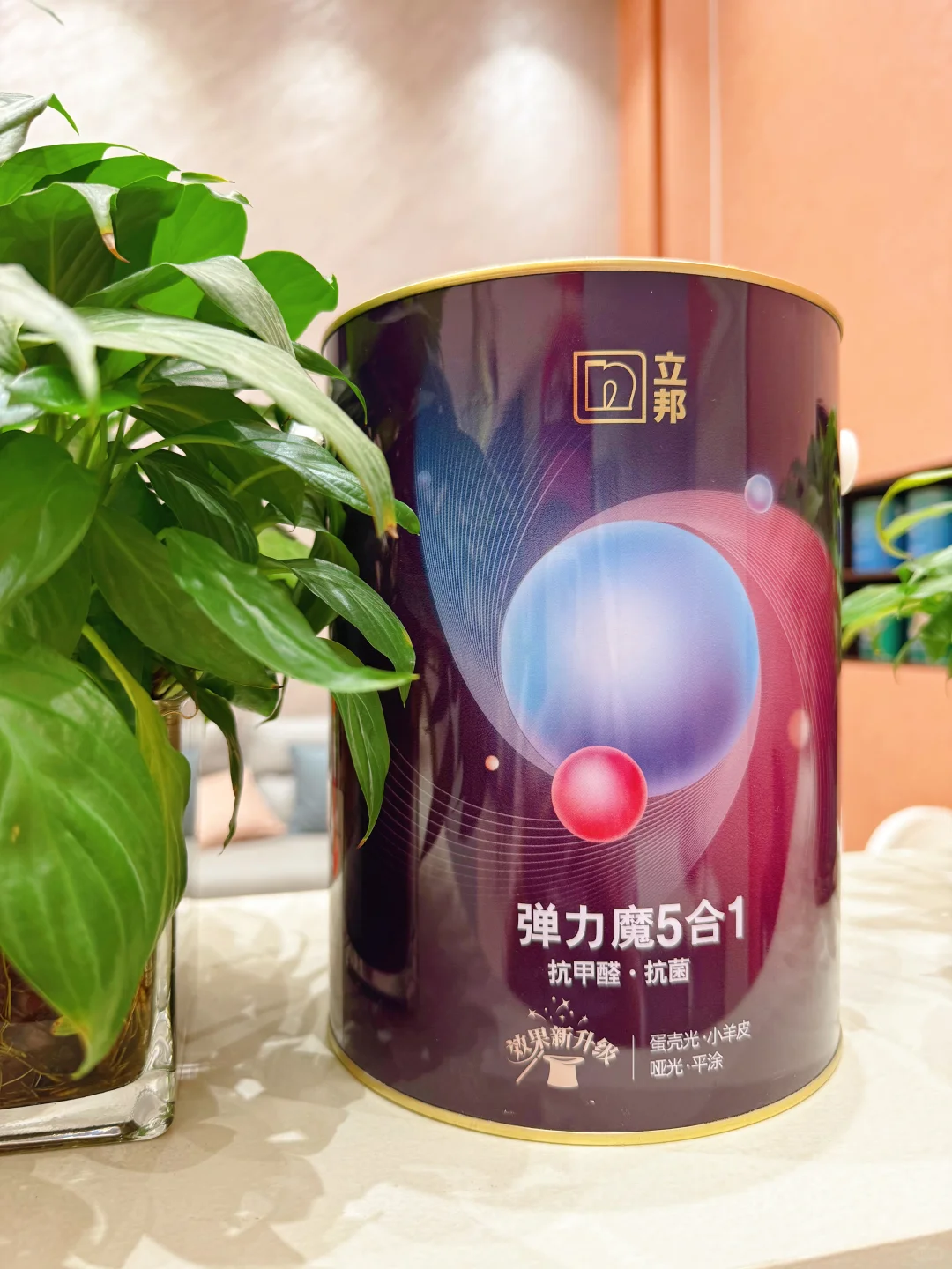 立邦弹力膜抗甲醛五合一