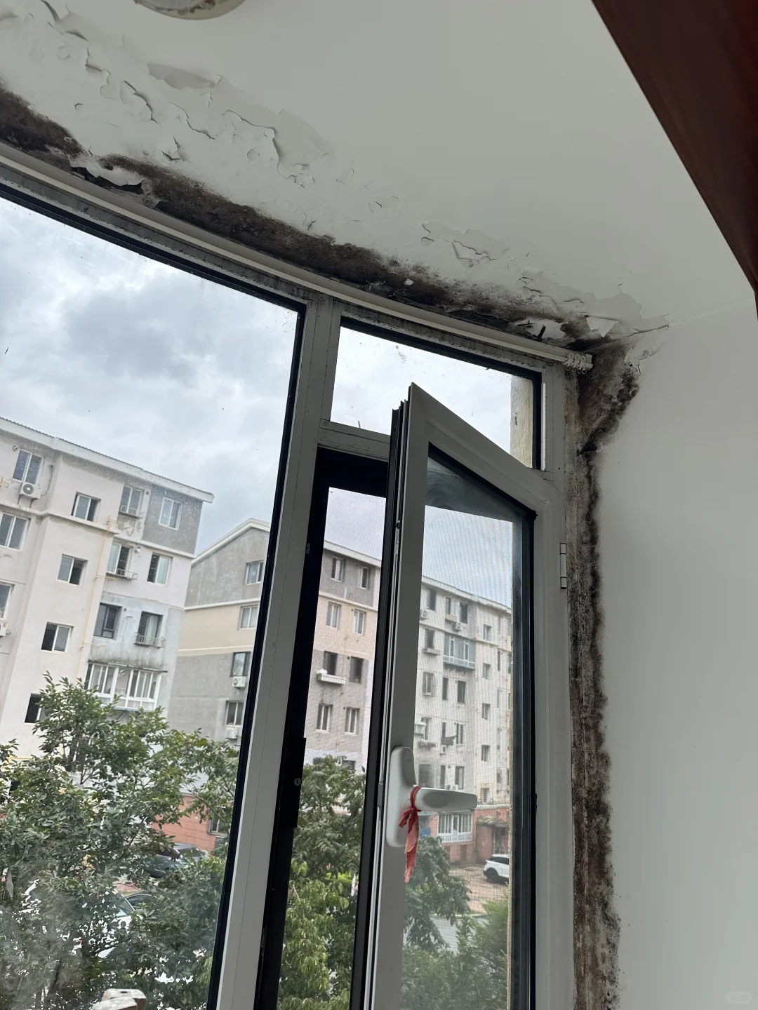 大白漏水发霉起皮脱落怎么处理效果好