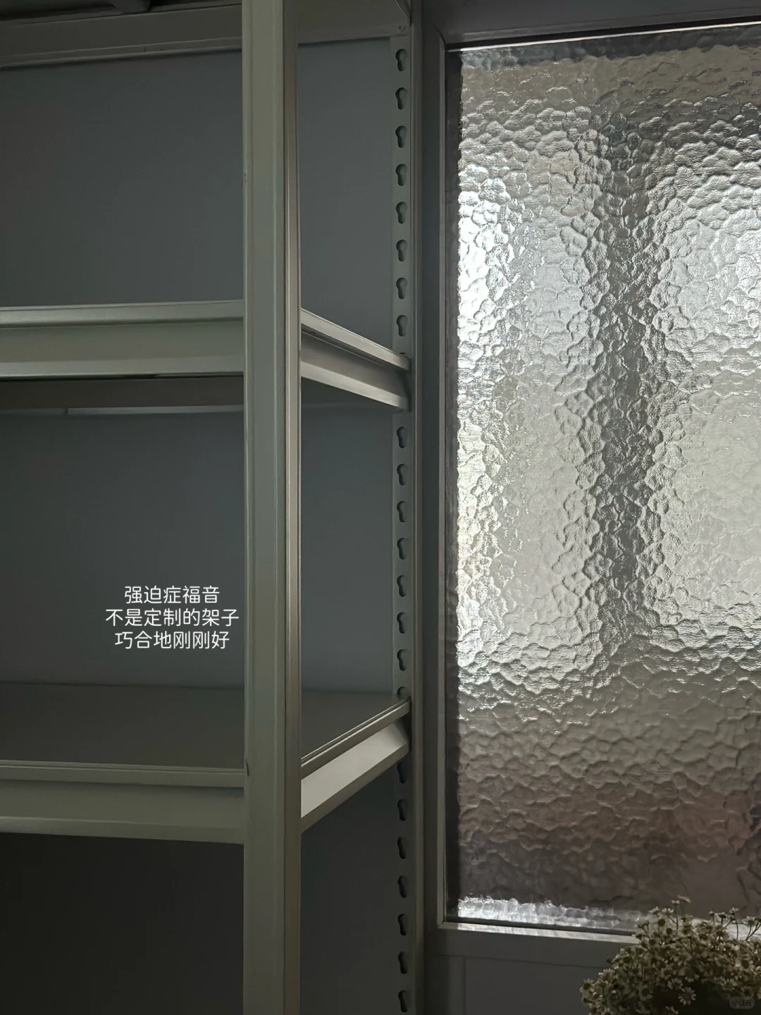 烘培好物分享✨