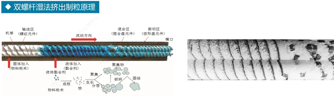 药企打工人｜双螺杆挤出真有意思