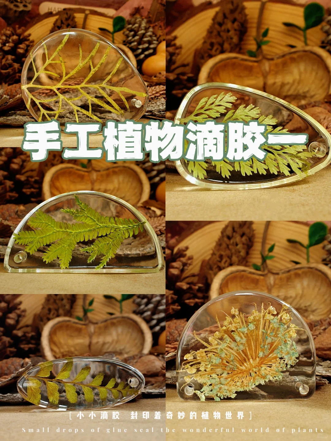 自制｜《手工植物滴胶一》