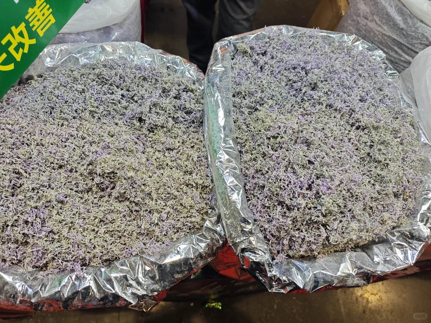 农业展销会上那些奇奇怪怪的美食