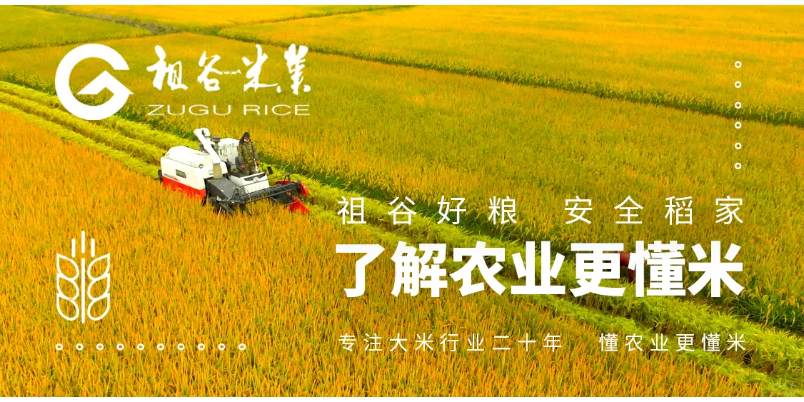祖谷米业为您科普全球范围内广泛种植