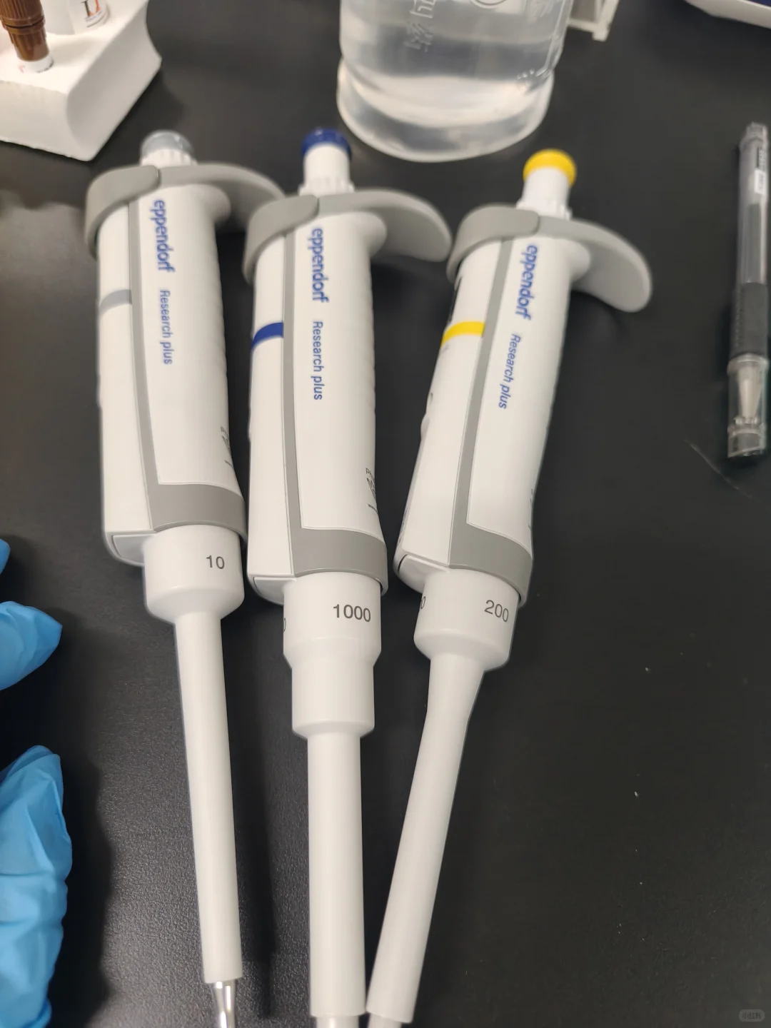 分子试验的一天