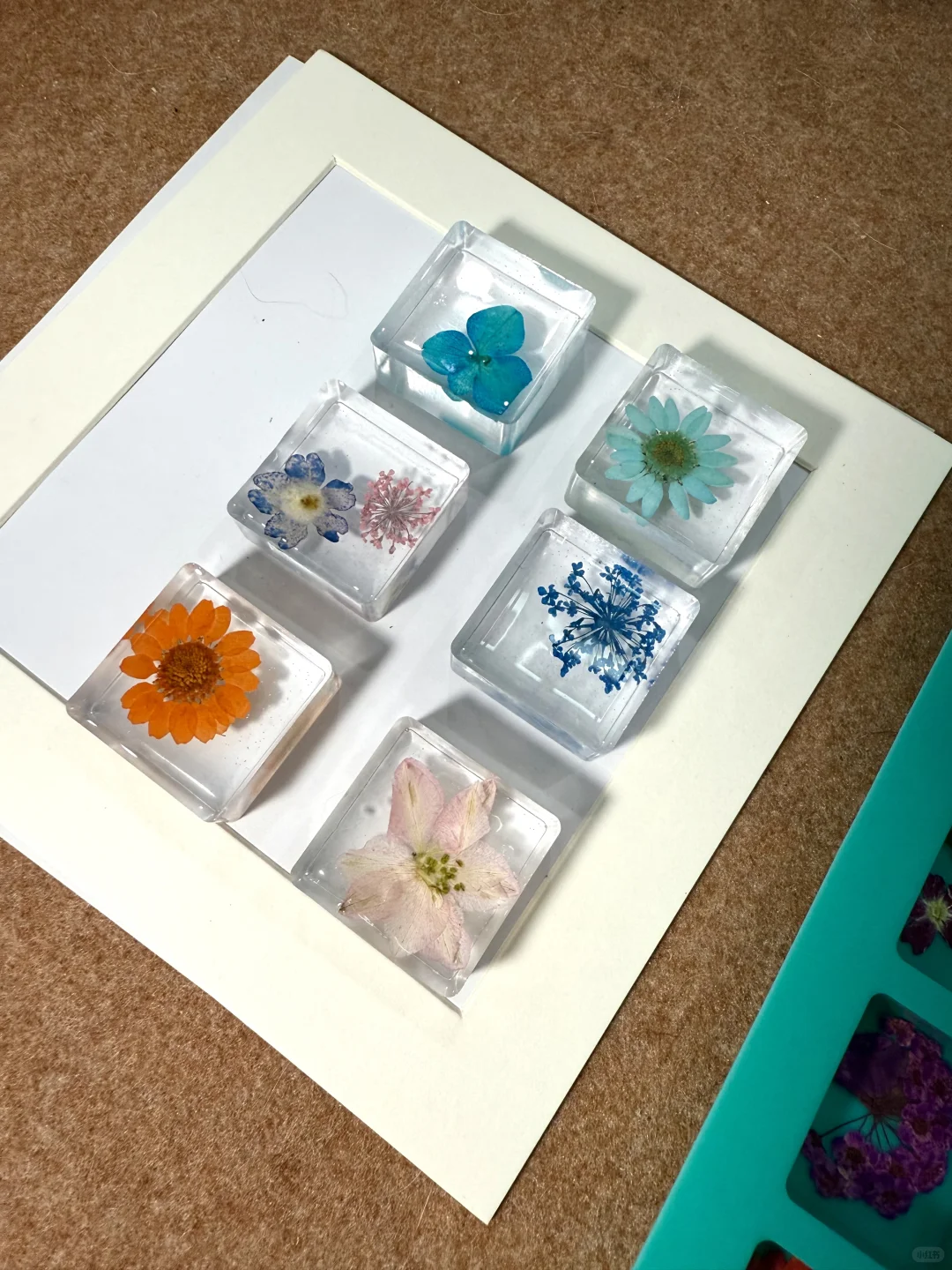 沉浸式压花｜治愈系小花花